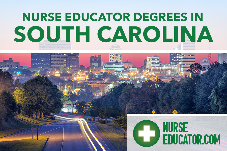 Online Nurse Educator Degrees in South Carolina