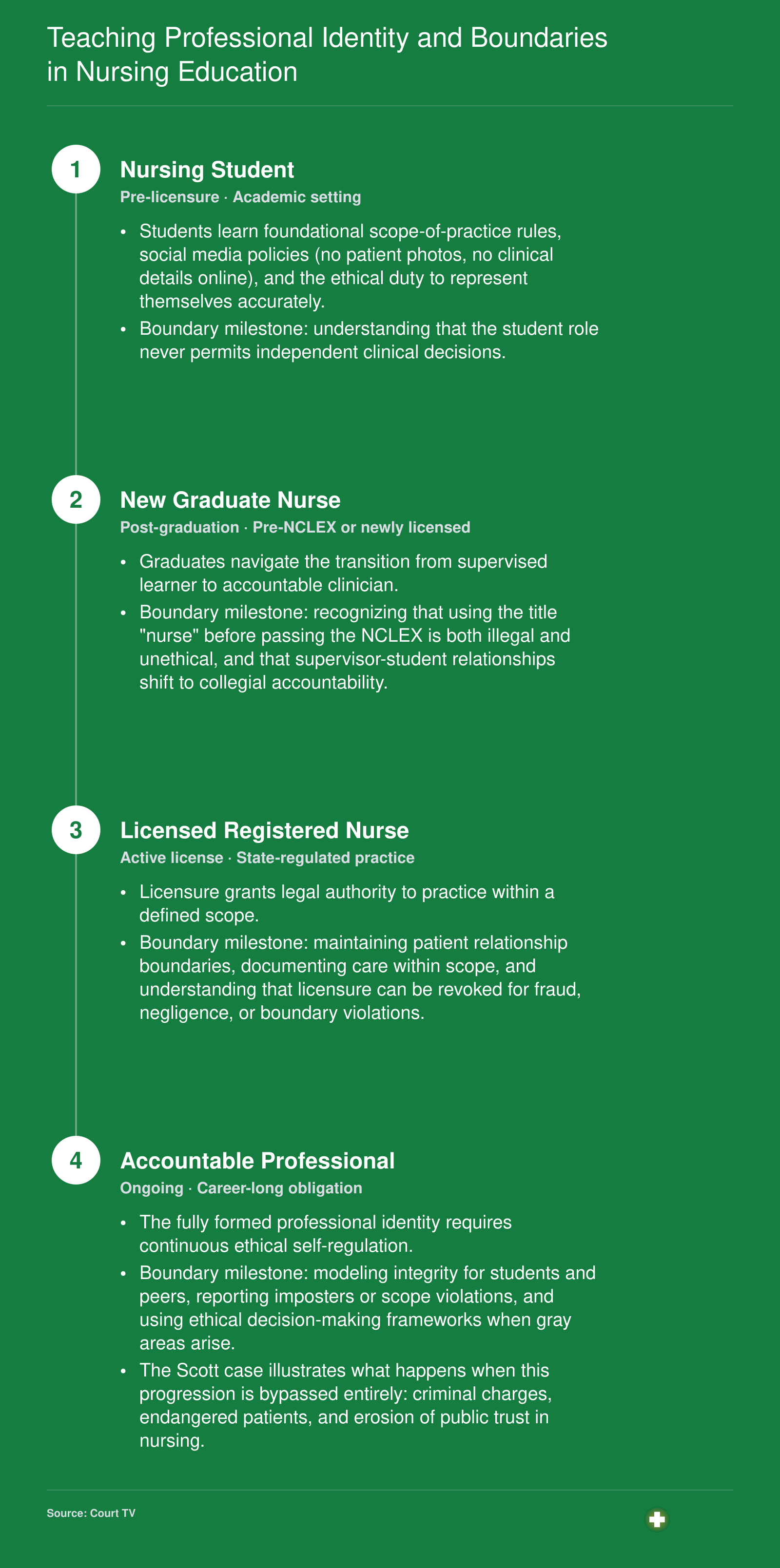 Four-stage progression from nursing student to accountable professional, highlighting licensure, social media, patient, and supervisory boundary milestones at each stage