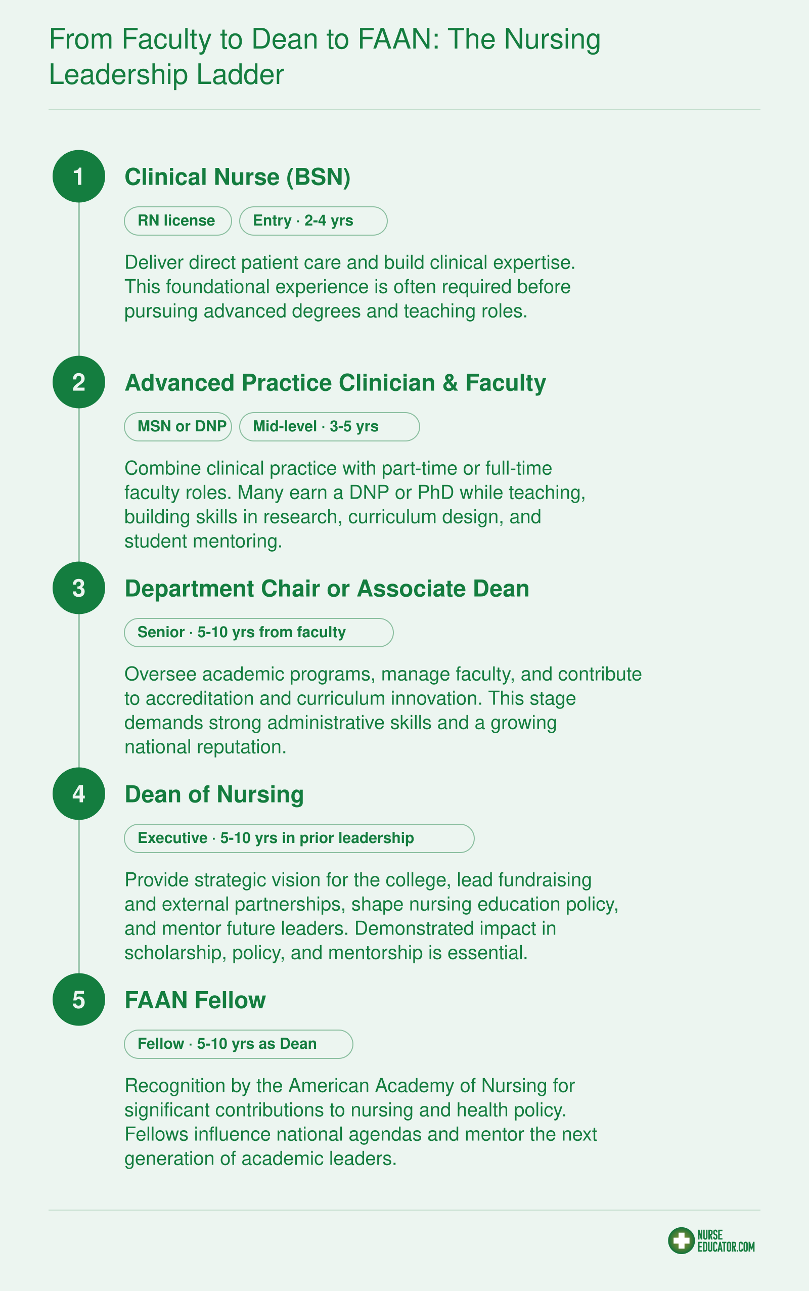 Nursing academic career progression: clinical nurse, advanced practice and faculty, academic leadership, dean, and FAAN fellow, typically spanning 15-20 years.