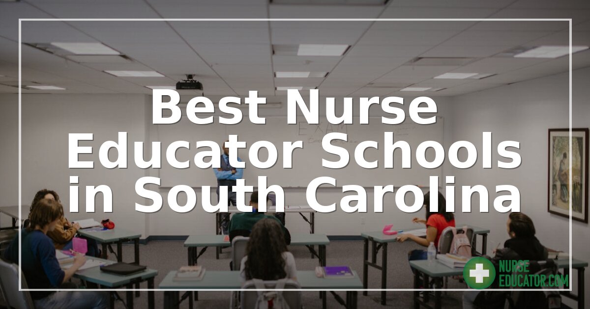 Best Nurse Educator Schools in South Carolina (2026)